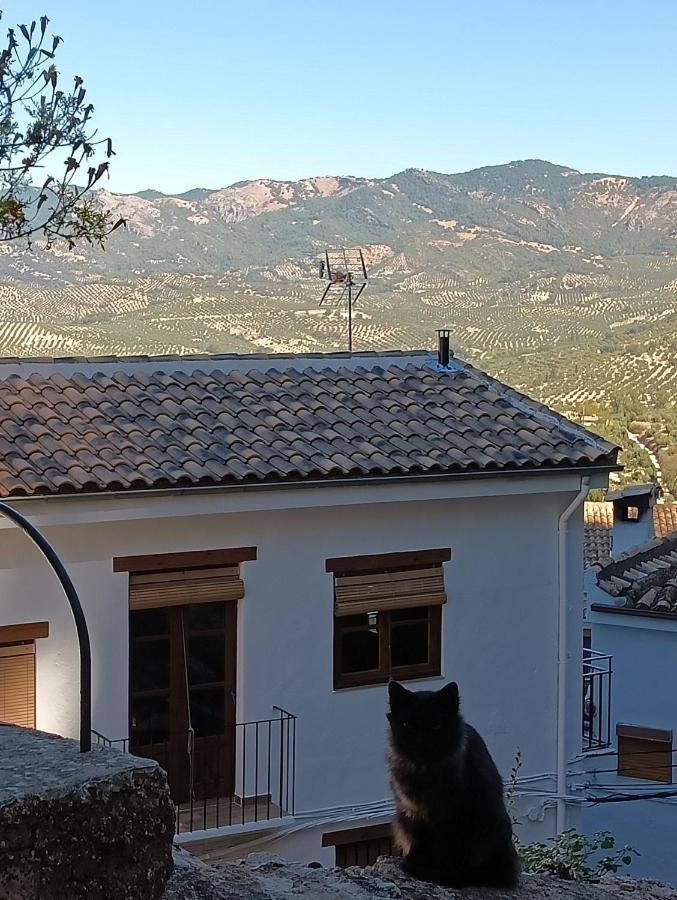 Vivienda Rural El Penon De Los Primillas ラ・イルエラ エクステリア 写真