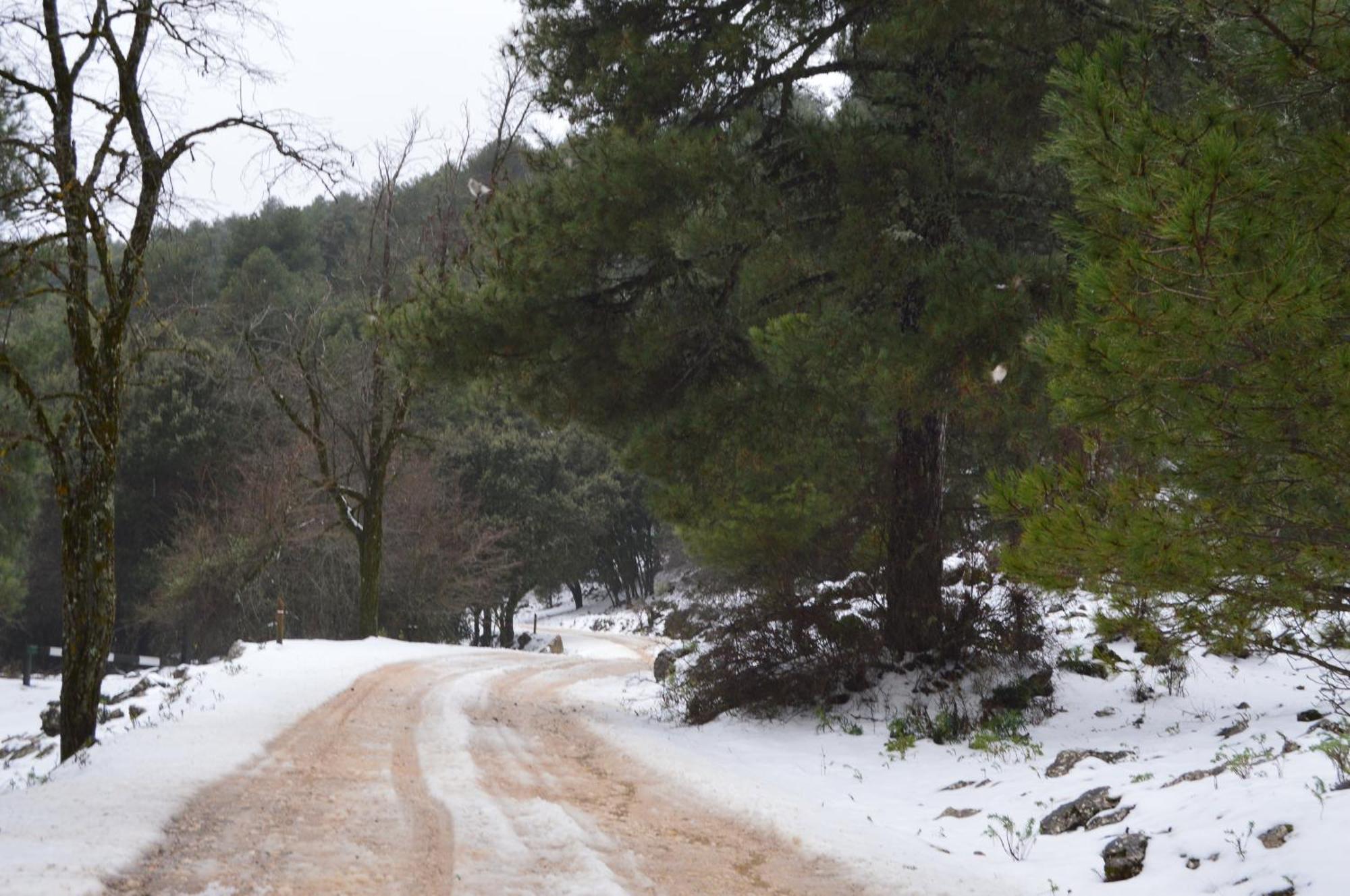 Vivienda Rural El Penon De Los Primillas ラ・イルエラ エクステリア 写真