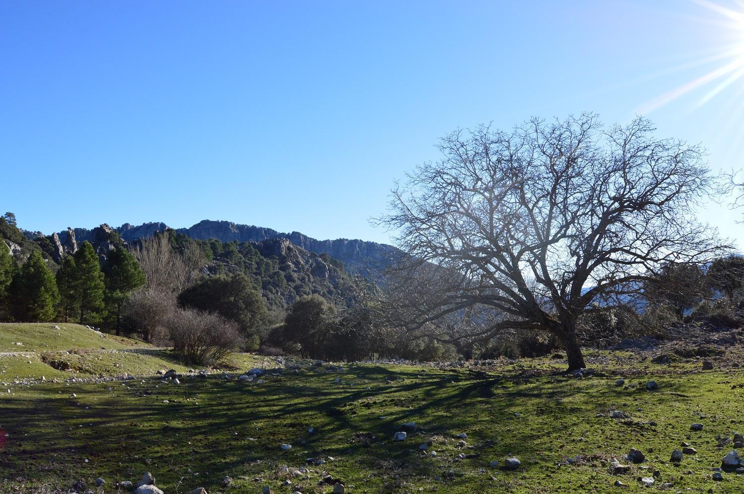 Vivienda Rural El Penon De Los Primillas ラ・イルエラ エクステリア 写真