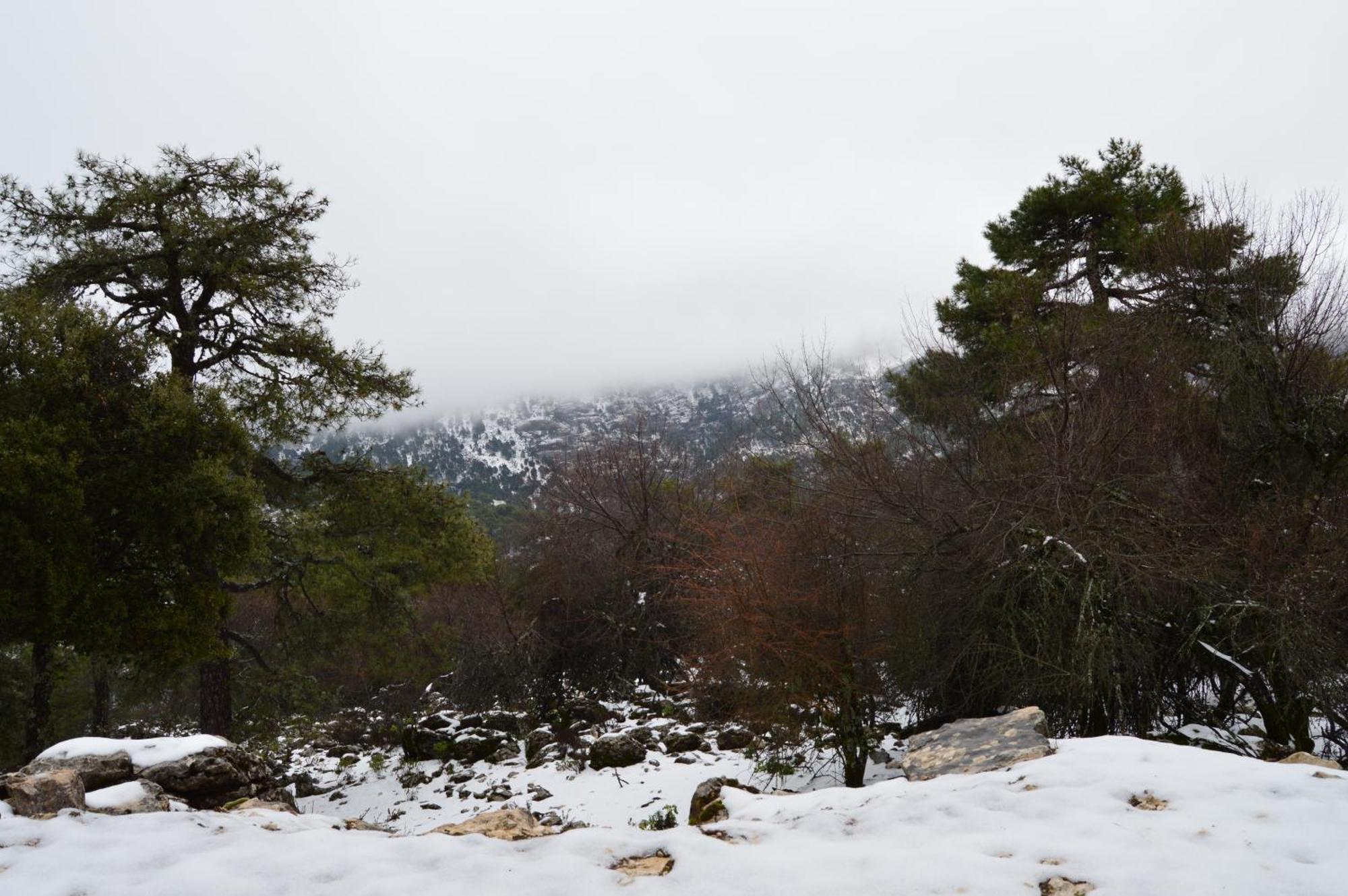 Vivienda Rural El Penon De Los Primillas ラ・イルエラ エクステリア 写真