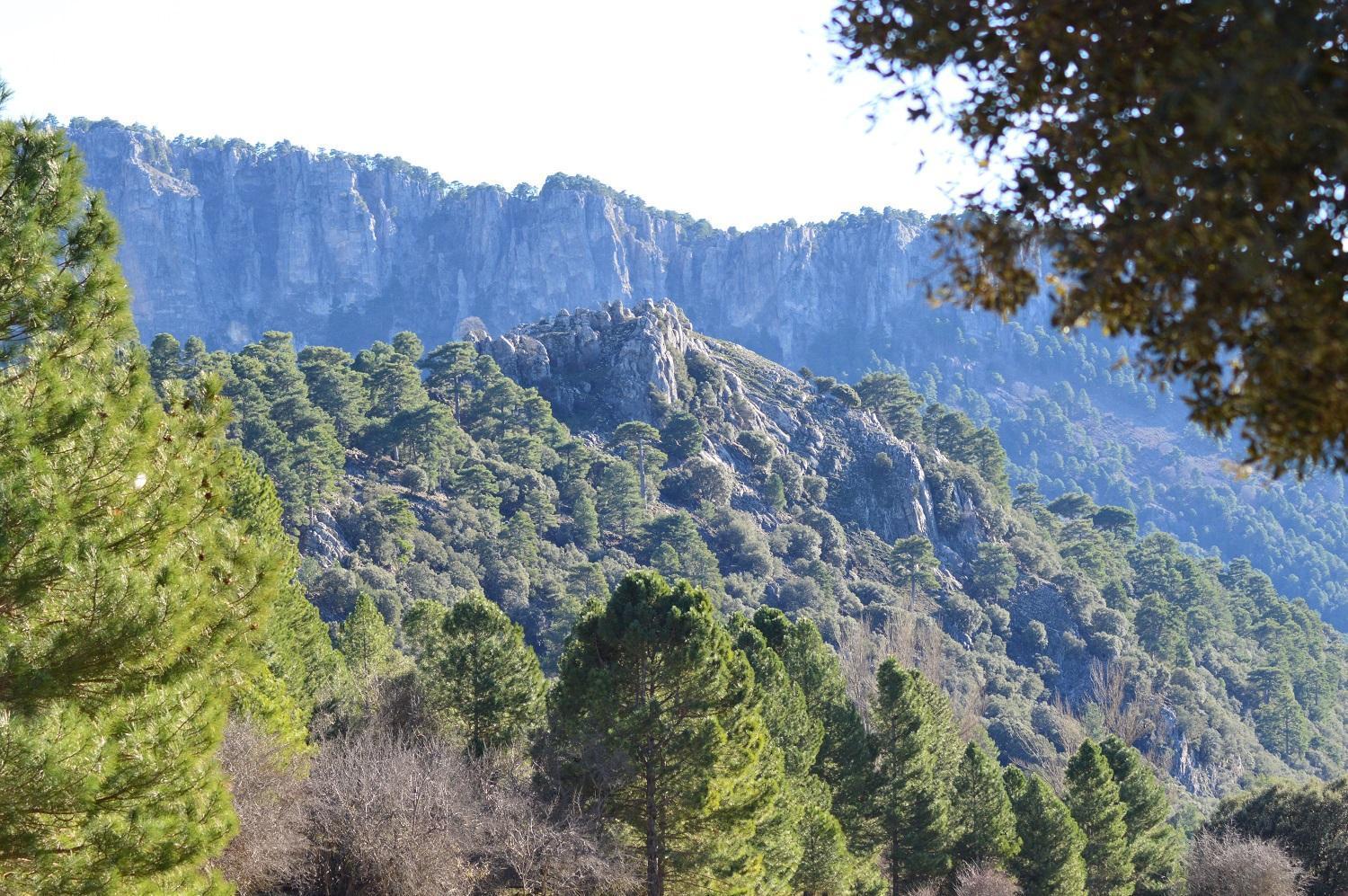 Vivienda Rural El Penon De Los Primillas ラ・イルエラ エクステリア 写真